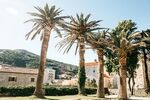 İzmir Çıkışlı Budva Rüyası Turu Pegasus Havayoları İle 3 Gece 4 Gün PC001