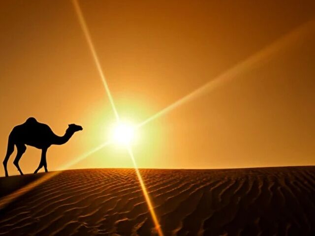 Vize Dahil Dubai Turu 3 Gece Dubai ve Abu Dhabi İkonları Şehir Turları Dahil!