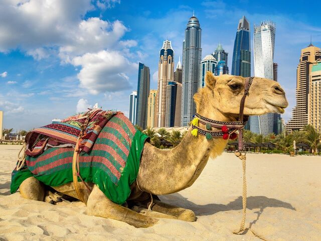 Vize Dahil Dubai Turu Dubai ve Abu Dhabi İkonları Şehir Turları Dahil