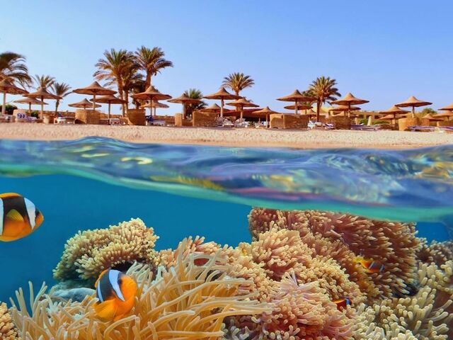 İzmir Hareketli Sharm ve Kahire – Sharm’da Her Şey Dahil Konaklama – Kolay Vize