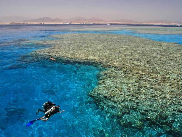 Sharm El Sheikh Turu Türk Havayolları ile 3 Gece Otelden Erken Çıkışlı