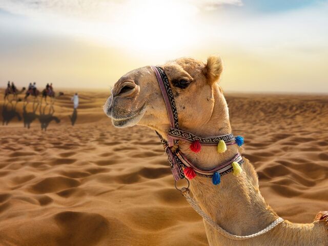 Dubai Turu Pegasus Havayolları İle 3 Gece 