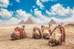 Sharm- (Dahab)- Kahire- İskenderiye  Kişi Başı 75 USD’lik Akşam Yemekli İskenderiye Turu Dahil, Sabah Gidiş Her Şey Dahil Konaklamalar