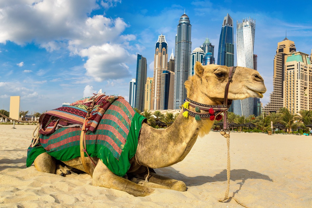 Dubai Turu ile 3 Gece Konaklamalı Dubai ve Abu Dhabi İkonları Şehir Turları Dahil