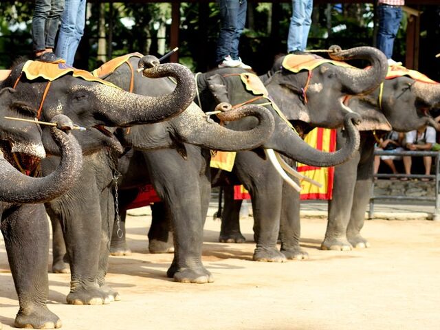 Elegant Bangkok - Phuket - Pattaya Turu - Ekstra Turlar Dahil!