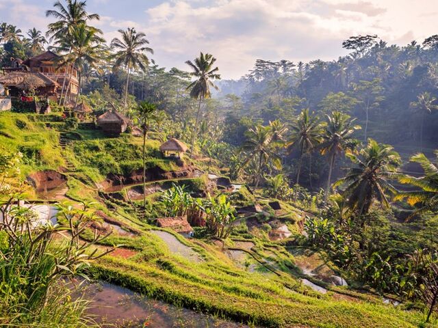 Elegant Bali Turu 5 Gece Emirates Hava Yolları İle Ekstra Turlar Dahil!