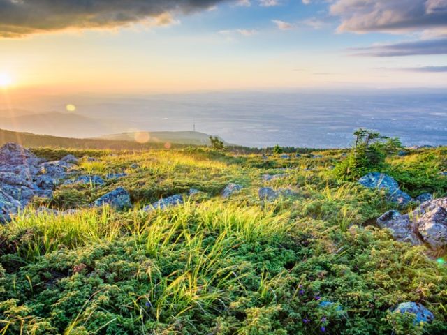 Sofya & Plovdiv Turu 1 Gece 3 Gün PNR001