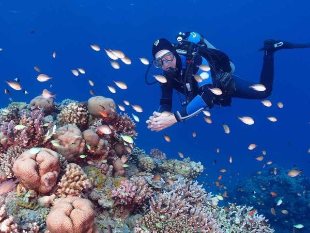 Sharm el Sheikh Turu – Gündüz Uçakları – Her Şey Dahil Konaklama – 5 Gece / 6 Gün – Tekne Gezisi, Soho Meydanı ve Farsha Cafe Turu Dahil