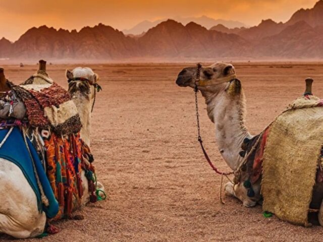 Promosyon Kahire Sharm El Sheikh Turu 2 Gece - Kahire Şehir Gezisi Dahil