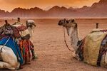 Promosyon Kahire Sharm El Sheikh Turu 2 Gece - Kahire Şehir Gezisi Dahil