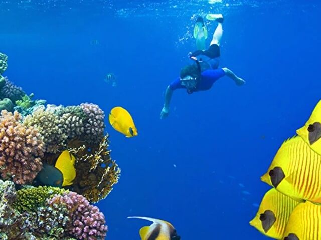 Promosyon Kahire Sharm El Sheikh Turu 2 Gece - Kahire Şehir Gezisi Dahil