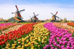 Comfort Benelux & Paris & Almanya Turu Pegasus Havayolları 7 Gece 8 Gün