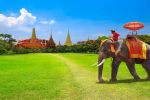 Elegant Tayland Bangkok - Phuket - Pattaya Turu - Ekstra Turlar Dahil