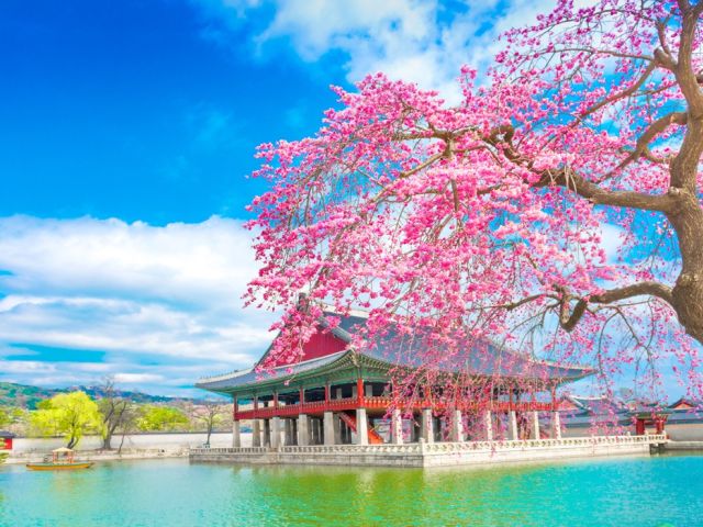 Grand Japonya & Güney Kore Turu - Tüm Turlar Dahil!