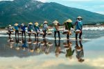 Comfort Vietnam Kamboçya Turu Türk Hava Yolları ile 7 Gece  Ekstra Turlar ve Tüm Yemekler Dahil (SGN-HAN)