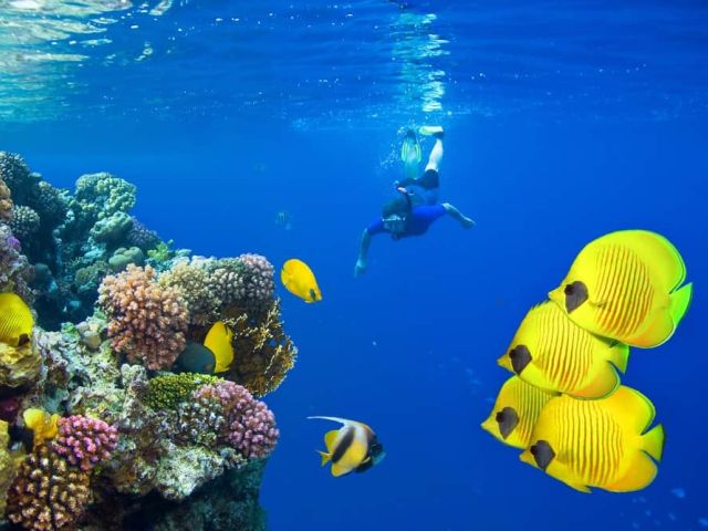 Promosyon Sharm El Sheikh Turu Ajet Havayolları ile 3 Gece Transfer Saatine Kadar Otel Kullanımlı