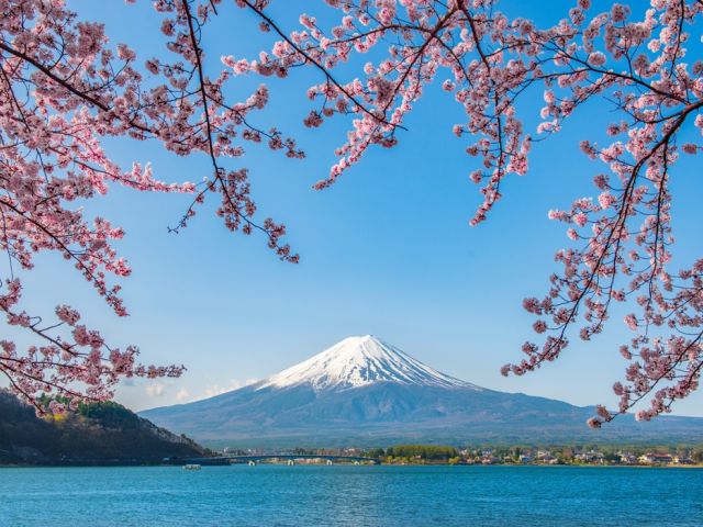 Comfort Japonya Turu - Ekstra Turlar Ve Çay Seremonisi Dahil!