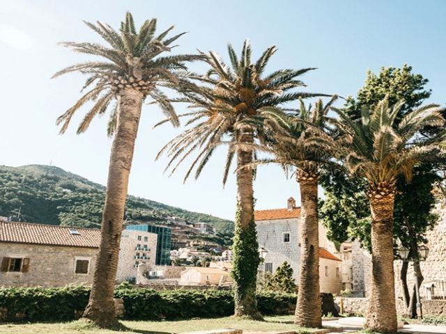 Ankara Çıkışlı Budva Karadağ Turu Vizesiz TGD-TGD