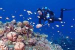 Sharm El Sheikh Kahire Turu Ajet ile 5 Gece 6 Gün (Sharm Gider-Kahire Döner)