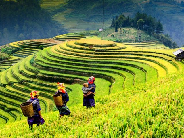 Comfort Vietnam - Kamboçya - Laos Turu - Ekstra Turlar Ve Vize Ücretleri Dahil!
