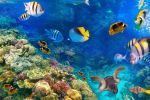 Diyarbakır Çıkışlı Mısır Kahire & Sharm El Sheikh Turu Kasım Ara Tatili Özel