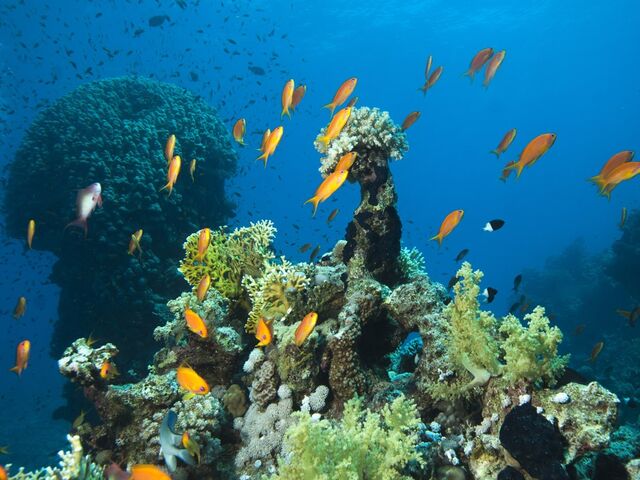 Promosyon Sharm El Sheikh Turu Ajet Havayolları ile 7 Gece Otelden Geç Çıkışlı