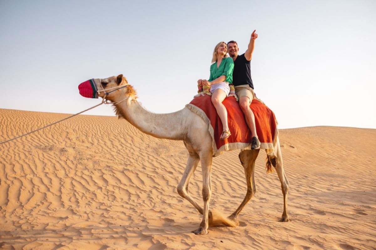 Sharm- (Dahab)- Kahire- İskenderiye  Kişi Başı 75 USD’lik Akşam Yemekli İskenderiye Turu Dahil, Sabah Gidiş Her Şey Dahil Konaklamalar