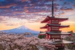 Sömestir Özel - Grand Japonya - Disneyland Turu - Tüm Turlar Dahil!