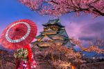Sömestir Özel - Grand Japonya - Disneyland Turu - Tüm Turlar Dahil!