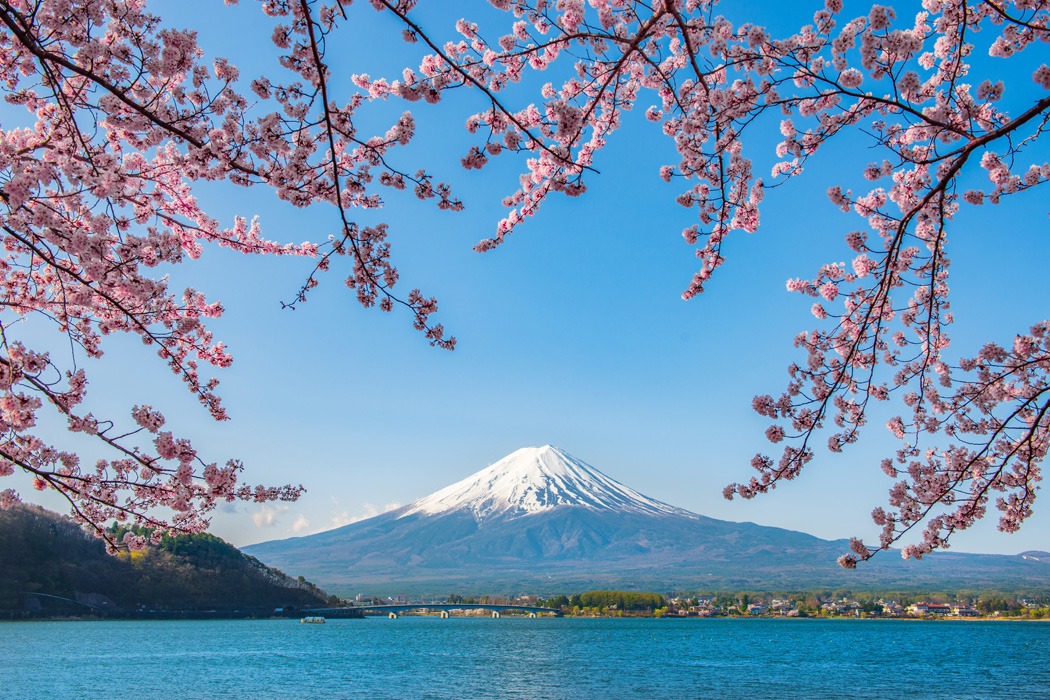 Comfort Japonya Turu - Ekstra Turlar Dahil!
