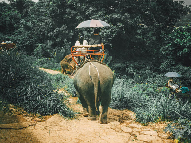 Bangkok - Pattaya - Phuket Turu 7 Gece 9 Gün Mahan Havayolları İle