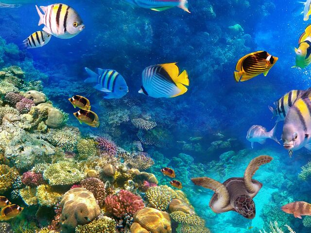Baştanbaşa Mısır Turu Hurgada Kahire Sharm Ajet Havayolları İle 7 Gece 8 Gün
