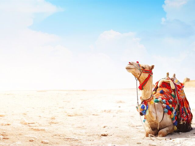 Fas Sahra Çölü ve Binbir Gece Masalları Turu Air Arabia Havayolları ile 6 Gece 7 Gün 